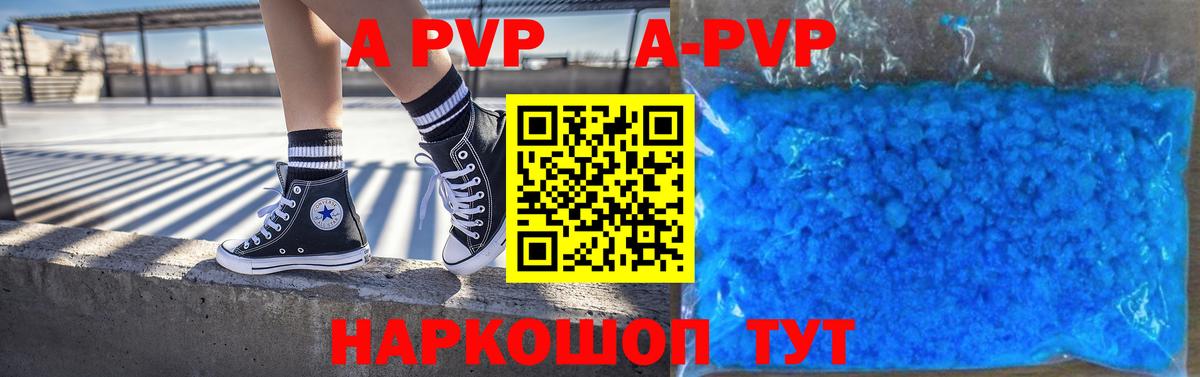 А ПВП СК Владимир
