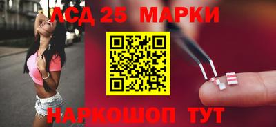 спайс Гатчина