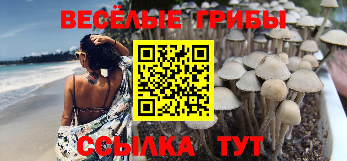 Псилоцибиновые грибы мицелий Владимир