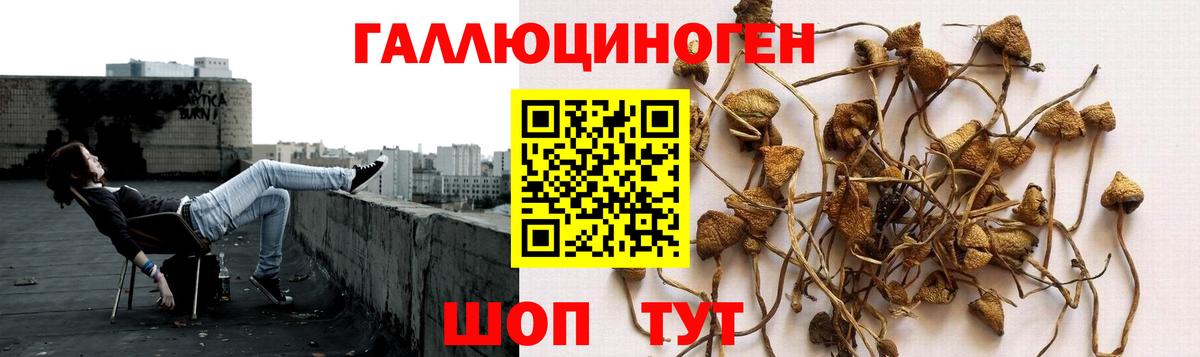 Меф   Владимир  Метамфетамин  Cocaine  Вход с VPN  Купить наркоту  ГАШ 