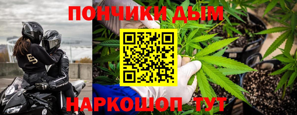 Владимир  Марихуана тримм  Конопля OG Kush  Вход с VPN  Шишки марихуана OG Kush 